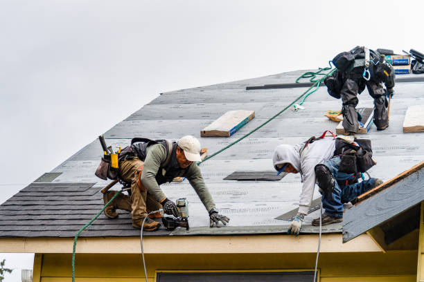 Professional Storm Damage Roof Repair technician working in Homestead, IA